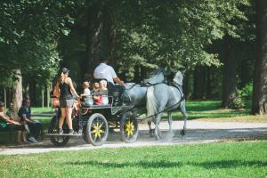 39628712_2188645704726088_3393713145313755136_n