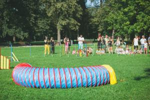 39786119_2188649258059066_4804989877806432256_n